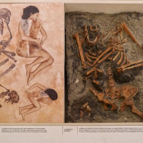 riproduzione_sepoltura_museo_archeologico_camaiore